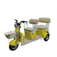 Tricycle électrique à châssis ouvert 1000W 60V pour adultes/personnes âgées, 3 roues, moteur sans balais à moyeu arrière, 3 vitesses, châssis en acier, 2 places