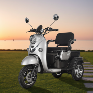 Triciclo Eléctrico de Alta Velocidad para Adultos, 72V, 3 Ruedas, Potente Motocicleta Todoterreno, Carrocería Abierta, 1000/2000W - Product Image 1