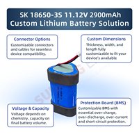 Batterie au lithium 18650 12V 2900mAh personnalisée par l'usine, pack de batteries rechargeables haute puissance pour appareil de massage à percussion (Fascia Gun)