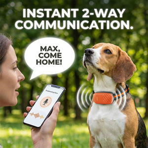 Collar GPS Mini Impermeable para Mascotas, Dispositivo de Rastreo, Sistema de Cerca Inalámbrica para Perros y Gatos, Venta Caliente de Fábrica - Product Image 3