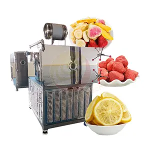 Best Dry Freeze Dried Lyophilizer Coffee Machine 300kg per Bach Food Vacuum Freeze Dryer Sale