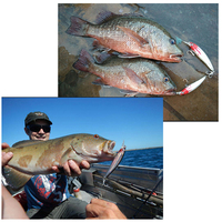 Leurre dur flottant de 9,5 cm et 9 g pour la pêche en eau profonde, action réaliste de type wobbler/crankbait, idéal pour les lances longues distances