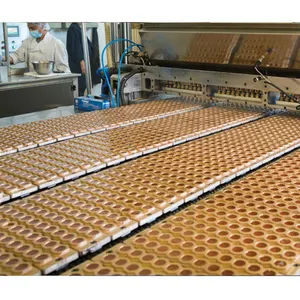 600kg/saat İlaç sakızlı şeker makinesi meyve jölesi şeker makinesi fabrika fiyat ile Shanghai