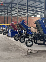 Tricycle à essence à vente chaude en Afrique, moto à trois roues à essence, vente de qualité, facile à utiliser