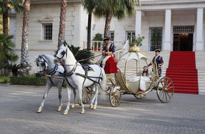 Chariot de chevaux romantique pour mariage et visites touristiques / Magnifique chariot de chevaux princesse citrouille - Product Image 4