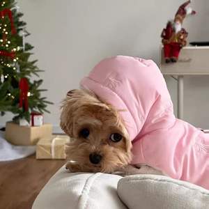 Adorable ikatan simpul cetak katun hewan peliharaan mantel tanpa lengan musim gugur musim dingin anjing menebal pakaian - Product Image 2