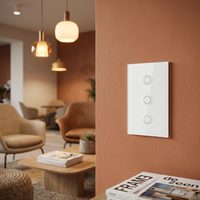 Interruptor de Pared Inteligente Multi-Gang ZigBee WiFi, Panel Táctil de Vidrio Templado, Control Remoto por Aplicación Tuya