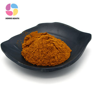 工場卸売高品質10:1馬尾エキス粉末 - Product Image 3