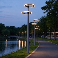 Lampes de jardin LED circulaires en aluminium de haute qualité personnalisées en usine, étanches IP65, 30W-100W, haute luminosité, lampes de rue pour aménagement paysager