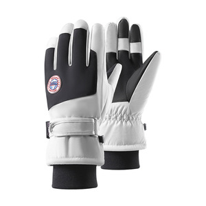 Gants de ski à doigts entiers, coupe-vent, imperméables, pour l'hiver, unisexes, épaissis, antidérapants, pour la conduite à moto - Product Image 1