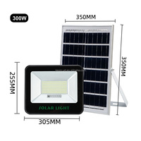 Projecteur solaire Utilisation en extérieur suffisamment d'énergie La lumière naturelle stocke l'énergie Lumière solaire LED puissante