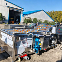 Machines de nettoyage, de séchage et de transformation des fruits et légumes frais industriels CE, machine à laver les dattes sèches à vendre, respectueuse de l'environnement