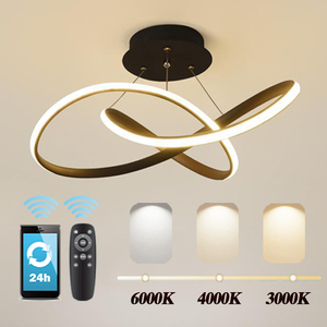 Lustre suspendu contemporain de luxe en acrylique nordique moderne LED suspendu au plafond Globe anneau télécommande pendentif cercle - Product Image 2