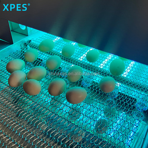 Máy khử trùng thực phẩm 8KW cho hoa dâm bụt trà xanh Quả Việt Quất các loại trái cây khác nhau để làm bộ lọc trà - Product Image 1