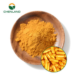 مسحوق مستخلص جذور الكركم الطبيعي العضوي عالي الجودة بالجملة، مسحوق الكركم بنسبة 5%-95%، مكمل الكركمين - Product Image 2