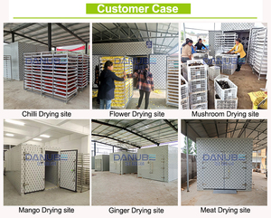 High Productivity Mint Leaves Air Dryer Tray Hot Selling PLC Auto Cucumber <b>Drying</b> Chamber Oven - Product Image 4