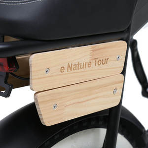 TXED Touring moto elettrica 48V 250W mozzo motore litio batteria elettrica moto stile bici - Product Image 6