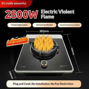 Wholesale Custom New Energy No Gas Portable Stainless Steel Single-cooker 2800w Commercial Outdoor Household Kitchen Wholesale - Product Image 2