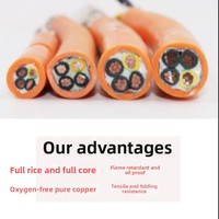 Cable Industrial Flexible con Cubierta de PVC, 1.5/2.5/4/6 mm², 4 Núcleos, para Servomotor, Alta Flexibilidad, Blindado, para Cadena Portacables