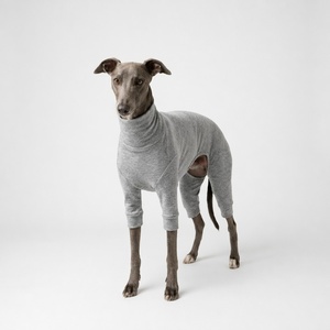 Mono de Invierno para Perro, de Dralon Cálido y Sólido, en Varios Colores, Directo de Fábrica, de Cuatro Patas, Elástico, para <span class=keywords><strong>Galgo</strong></span> <span class=keywords><strong>Italiano</strong></span> - Product Image 5