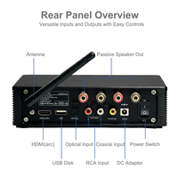 Samtronic Digitaler Verstärker und Vibrationslautsprecher-Set Niederfrequenz-Bass-Shaker Resonanz-Wandler für Massagesessel Sofa