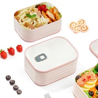 Boîte à lunch chauffante pour micro-ondes, en plastique, motif dessin animé, 2 compartiments, rectangulaire, scellée, réutilisable, anti-fuite, pour étudiants, avec séparateur vert