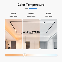 Nouveau style très demandé : Système d'éclairage sur rail magnétique basse tension DC48V intelligent Tuya Zigbee à intensité variable, encastré LED