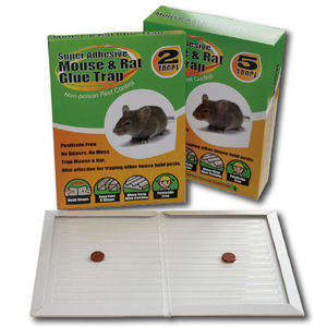 Piège à souris en carton gris écologique personnalisé, piège à colle pour les nuisibles rampants - Product Image 5