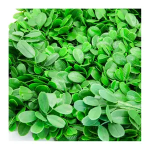 Artificial Plastic Creeper Boxwood Hedge Grass Indoor Plant Vertical Panels Leaves Green Wall