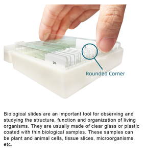 Lames de microscope populaires pour l'enseignement médical, 100 types de préparations d'histologie humaine - Product Image 3