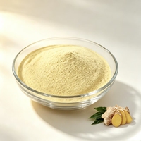 Poudre de Gingérol Naturelle de Haute Pureté en Gros pour Matière Première Alimentaire et Boissons Fonctionnelles
