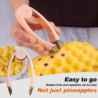 Ananas-oogverwijderaar Roestvrij staal Multifunctionele zaadverwijderaar Clip Aardbeien Groenten Fruit Ogen Verwijderingsgereedschap