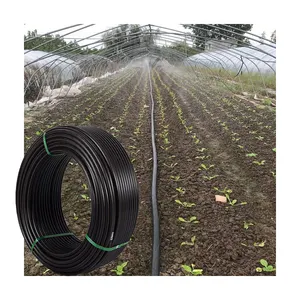 200m One Roll PE Pipe para tubos de riego agrícola Hdpe Coil Pipe para agua fría