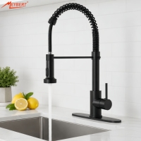 Robinet de cuisine monocommande en acier inoxydable à monter sur plan avec douchette extractible, pour usage domestique