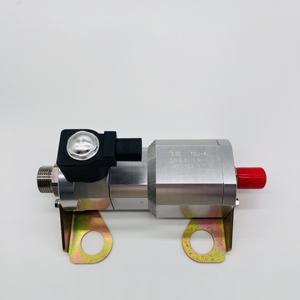 Regulador reductor de presión de <span class=keywords><strong>gas</strong></span> <span class=keywords><strong>natural</strong></span> para vehículo LNG eléctrico DC24V, 2 unidades - Product Image 5