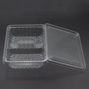 großhandel durchsichtiger PET-Blümchen-Clamshell-Kunststoff-Speicher für Obst Salat-Containerbox