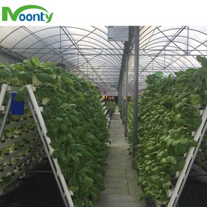 Système de plantation hydroponique NFT <span class=keywords><strong>Vertical</strong></span>, économie de place, plantes pour tersmartphone, herbe de tomate - Product Image 5