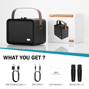 Lecteur de karaoké Bluetooth audio QM1 OEM ODM LOGO, amplificateur sans fil, haut-parleur portable d'extérieur avec microphone - Product Image 5