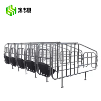 Équipement d'Élevage Porcin Fournisseur Usine Cages de Maternité et de Sevrage pour Porcs