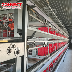 Hoàn toàn tự động nhiều tầng nhà cho gia cầm chế biến mới gà giống lồng đẻ giống hệ thống cho ăn thiết bị - Product Image 1