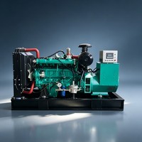 Protection Intelligente pour Générateur au Gaz Naturel et Biogaz avec Arrêt Automatique en Cas de Défaillance de Température, Tension ou Courant – Type Silencieux/ Ouvert Haute Performance