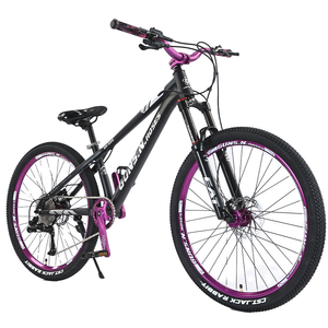 Vélo de vitesse de style européen VTT 26 24 pouces Bicicletas VTT 29 pouces VTT pour adulte - Product Image 5