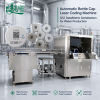 Machine de codage laser automatique pour bouchons de bouteilles avec la numérotation GS1 DataMatrix et la traçabilité ASL Belgisi pour la production d'eau