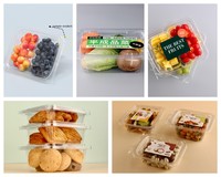 Conteneur alimentaire de stockage en plastique personnalisé, fourniture d'usine, doseur en plastique boîtes à fruits, conteneur d'emballage de fruits