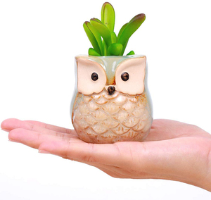 Mini tamaño lindo búho <span class=keywords><strong>Bonsai</strong></span> ollas a casa y Decoración Oficina escritorio cerámica pote de flor - Product Image 4