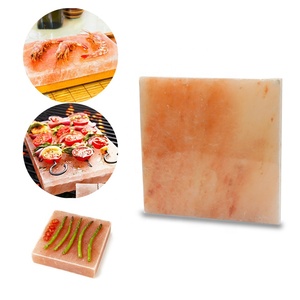Cristales de sal de baño del Himalaya, técnica tallada de Pakistán, lámparas grandes, animales, losas de pared para lamer, azulejos de sala de Sauna, azulejos de pared de ladrillo - Product Image 1