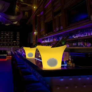 BT hoparlör taşınabilir özel <span class=keywords><strong>Led</strong></span> buz kovası Pe plastik büyük buz kovası 6 şişe şampanya Heinek için - Product Image 4