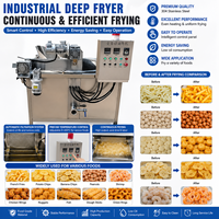 Friteuse à gaz professionnelle pour frites, poulet, chips, croustilles de peau de porc et anneaux d'oignon