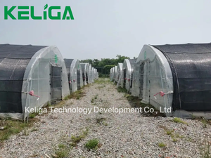 Serres tunnel de bonne qualité avec tour hydroponique Poly Tunnel serre verte pour tomates <span class=keywords><strong>à</strong></span> <span class=keywords><strong>vendre</strong></span> - Product Image 5