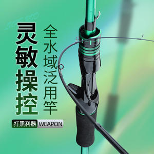 Ensemble de cannes à pêche en fibre de carbone, action moyenne rapide, pour eau salée, spinning et casting, 2 pièces, pour la pêche en rivière - Product Image 3